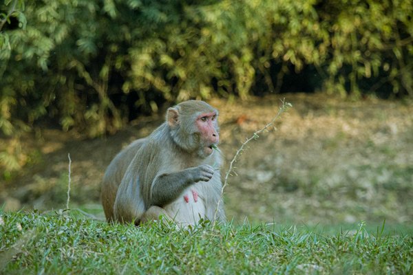 Explorez les Festivals de Rock Iconiques à Travers le Monde